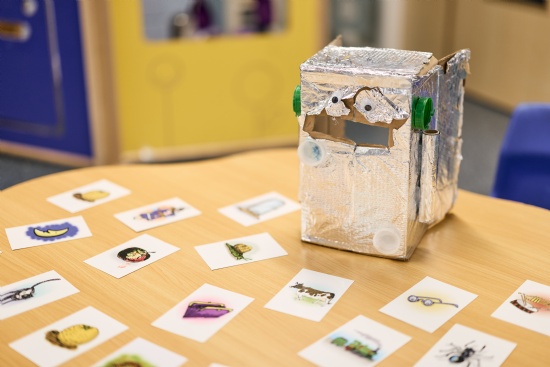 Newsletter 14th November 2025